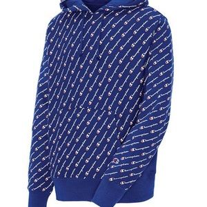 Champion navy logo hoodie